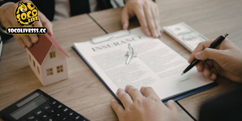 Socolive miễn trừ trách nhiệm cho sự cố kỹ thuật và gián đoạn